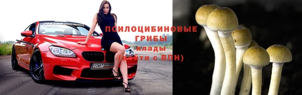 альфа пвп Покровск
