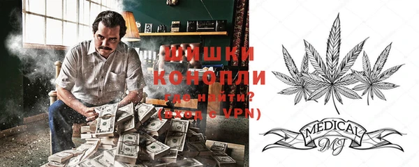 шишки Покров