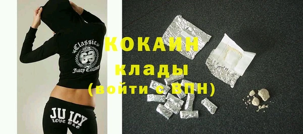 шишки Покров