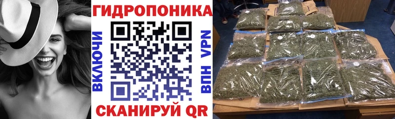 Конопля план  сколько стоит  Устюжна 